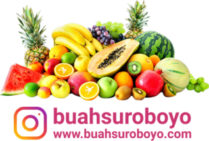 Logo Buah Suroboyo